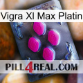 Vigra Xl Max Platinum 02